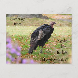 Grüße Kevin Türkei - Old Wethersfield, CT Postkarte
