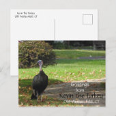 Grüße Kevin Türkei - Old Wethersfield, CT Postkarte (Vorne/Hinten)