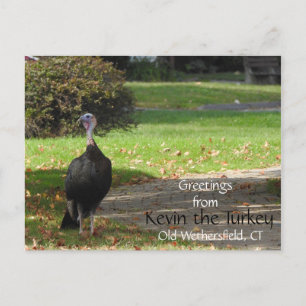 Grüße Kevin Türkei - Old Wethersfield, CT Postkarte