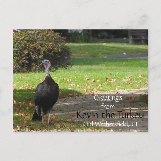 Grüße Kevin Türkei - Old Wethersfield, CT Postkarte (Vorderseite)