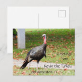Grüße Kevin Türkei - Old Wethersfield, CT Postkarte (Vorne/Hinten)