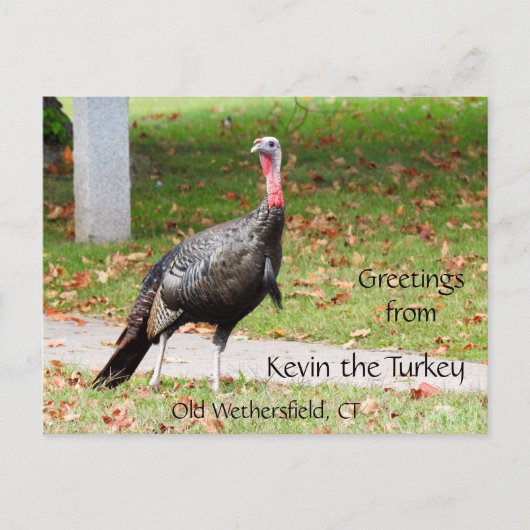 Grüße Kevin Türkei - Old Wethersfield, CT Postkarte (Vorderseite)