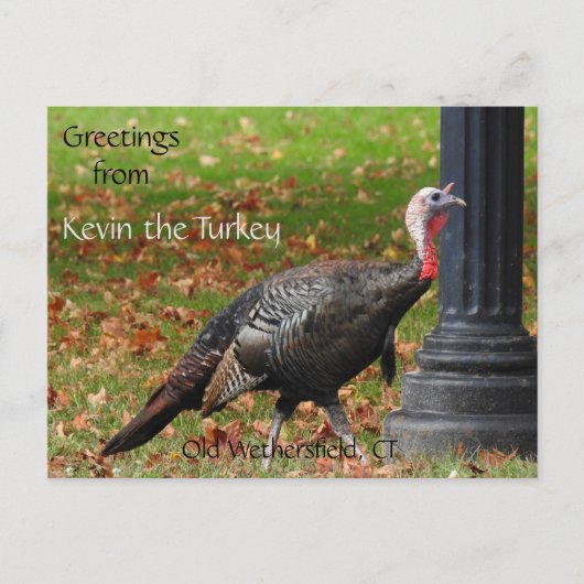 Grüße Kevin Türkei - Old Wethersfield, CT Postkarte (Vorderseite)