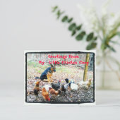 Grüße Meine kleine Hühnercoop Postkarte (Stehend Vorderseite)