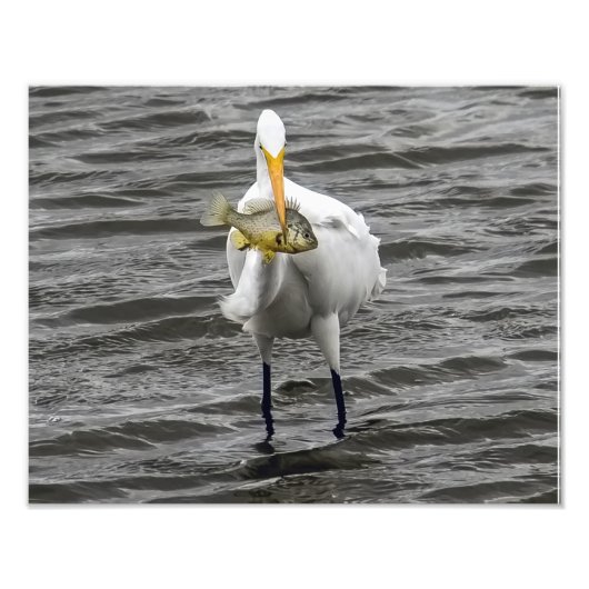 Grüße mit Mittagessen Fotodruck (Vorne)