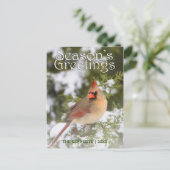 Grüße - Nordischer Kardinal in Juniperbaum Postkarte (Stehend Vorderseite)