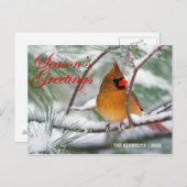 Grüße - Nördlicher Kardinal im Schneewald Postkarte (Vorne/Hinten)