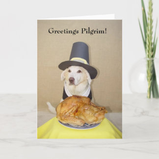 Grüße Pilgrim! Feiertagskarte