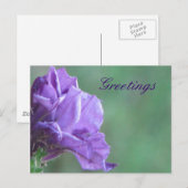 Grüße Postkarte (Vorne/Hinten)