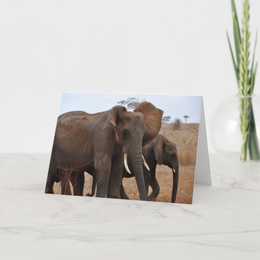 Grüße und Grüße Karte (Vorderseite)