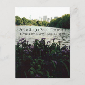 Grüße vom Central Park in New York City Postkarte