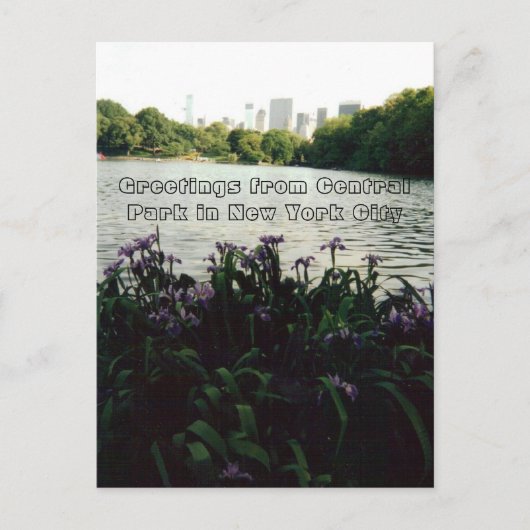 Grüße vom Central Park in New York City Postkarte (Vorderseite)