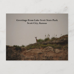 Grüße vom Lake Scott Staat Park Postkarte