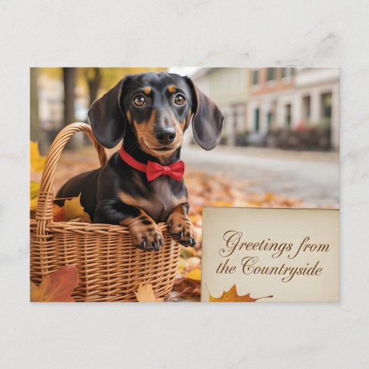 "Grüße vom Lande" Dachshund Postkarte (Vorderseite)