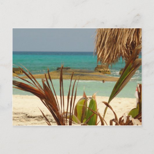 Grüße vom Paradies! Postkarte (Vorderseite)