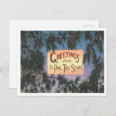 Grüße vom Pine Tree Staat, Maine Travel Postkarte (Vorne/Hinten)