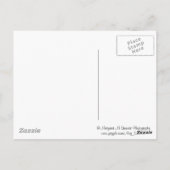 Grüße vom Poconos-Berg Laurel Postkarte (Rückseite)