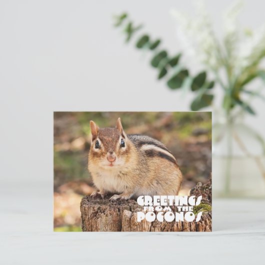 Grüße vom Poconos! Entzückender fetter Chipmunk Postkarte (Stehend Vorderseite)