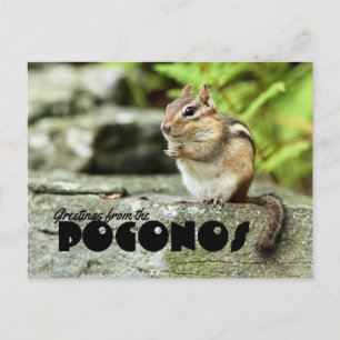 Grüße vom Poconos Mischvous Chipmunk Postkarte