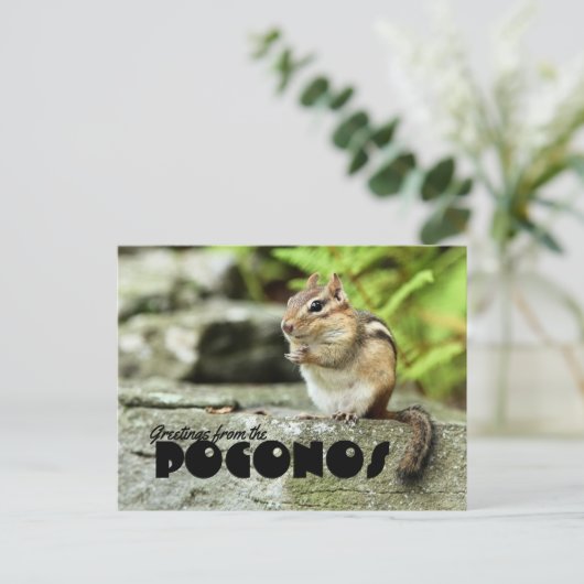 Grüße vom Poconos Mischvous Chipmunk Postkarte (Stehend Vorderseite)