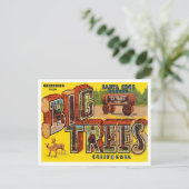 Grüße vom Santa Cruz Landkreis, Big Trees Park Postkarte (Stehend Vorderseite)