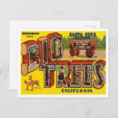 Grüße vom Santa Cruz Landkreis, Big Trees Park Postkarte (Vorne/Hinten)