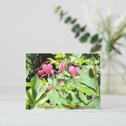 Grüße vom Sonnensee Postkarte (Stehend Vorderseite)