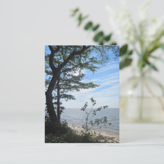 Grüße vom Strand! Postkarte (Stehend Vorderseite)