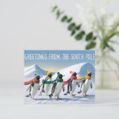 "Grüße vom Südpol" Pinguin-Design Postkarte (Stehend Vorderseite)