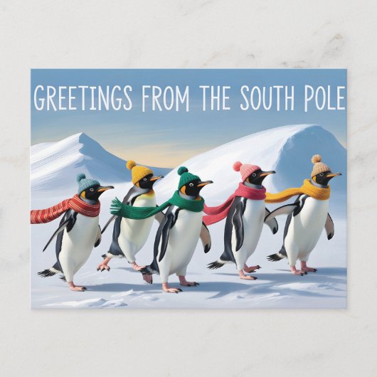 "Grüße vom Südpol" Pinguin-Design Postkarte (Vorderseite)