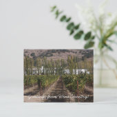 Grüße vom Weinland! Postkarte (Stehend Vorderseite)