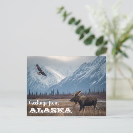 Grüße von Alaska Moose und Bald Eagle Postkarte (Stehend Vorderseite)