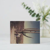 Grüße von Arizona Postkarte!!! Postkarte (Stehend Vorderseite)