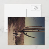Grüße von Arizona Postkarte!!! Postkarte (Vorne/Hinten)