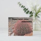 Grüße von Arizona Red Barrel Cactus Pflanze Postkarte (Stehend Vorderseite)