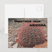 Grüße von Arizona Red Barrel Cactus Pflanze Postkarte (Vorne/Hinten)