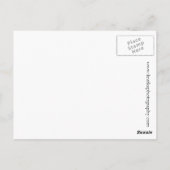 Grüße von Belfast Maine! Postkarte (Rückseite)