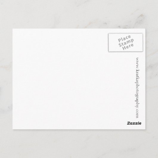 Grüße von Belfast Maine! Postkarte (Rückseite)