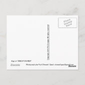Grüße von BRIGHTON Postkarte (Rückseite)