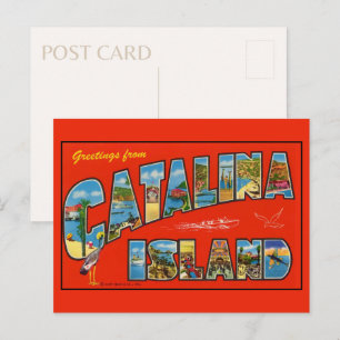 Grüße von Catalina Island 1955 Vintag Postkarte