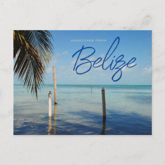 Grüße von Caulker Caye Belize Postkarte