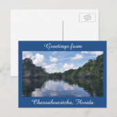 Grüße von Chassahowitzka Florida Postkarte (Vorne/Hinten)