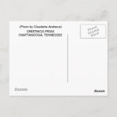 GRÜSSE VON CHATTANOOGA, TENNESSEE POSTKARTE (Rückseite)