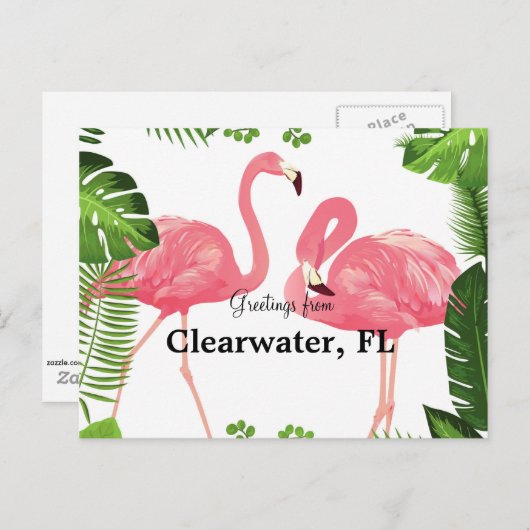Grüße von Clearwater, FL Postkarte (Vorne/Hinten)