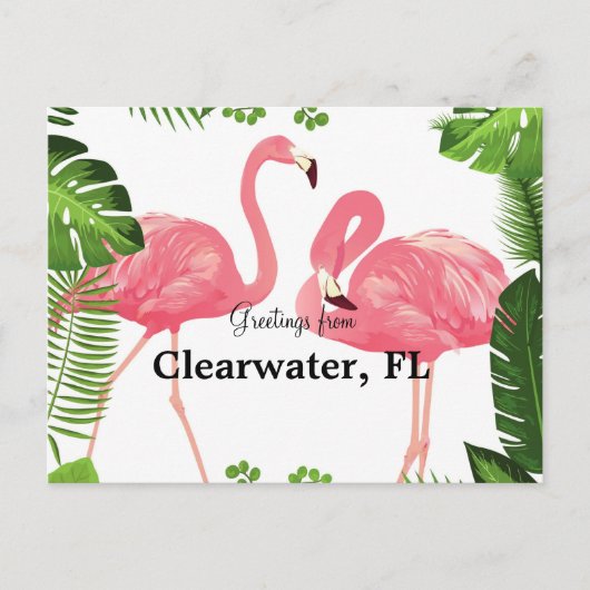 Grüße von Clearwater, FL Postkarte (Vorderseite)