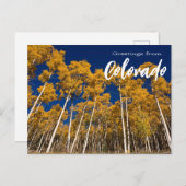 Grüße von Colorado Postcard Aspen Trees Postkarte (Vorne/Hinten)