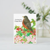 Grüße von Connecticut American Robin Postkarte (Stehend Vorderseite)