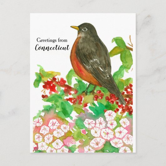 Grüße von Connecticut American Robin Postkarte (Vorderseite)