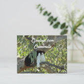 Grüße von Cunnamulla Postkarte (Stehend Vorderseite)