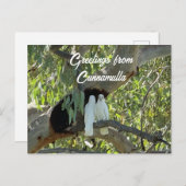 Grüße von Cunnamulla Postkarte (Vorne/Hinten)